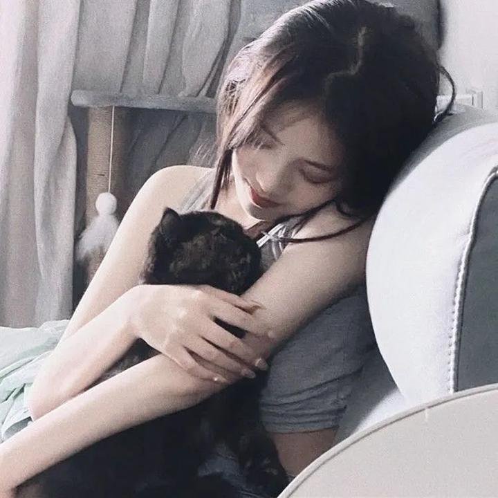 汪汪队立大功第一季 海报