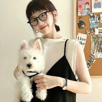 银狐 海报