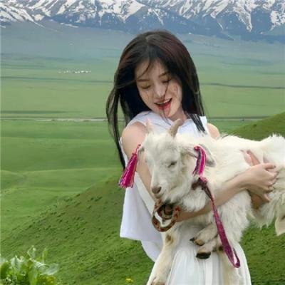 歌声是千层派 海报